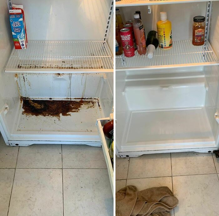Refrigerator deep cleaned from stained to food-safe white interior